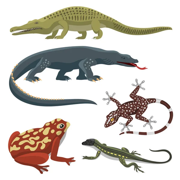 Hüllő és kétéltű színes fauna vektoros illusztráció reptiloid ragadozó hüllők állatok. — Stock Vector