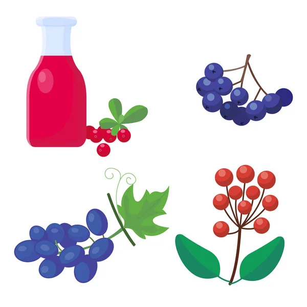 Berry σιρόπι μπουκάλι πολύχρωμο κινούμενα σχέδια εικονίδια για εορτασμό ημέρα των Ευχαριστιών μούρα διακοπών διάνυσμα σχεδιασμός Φθινόπωρο σεζόν — Διανυσματικό Αρχείο