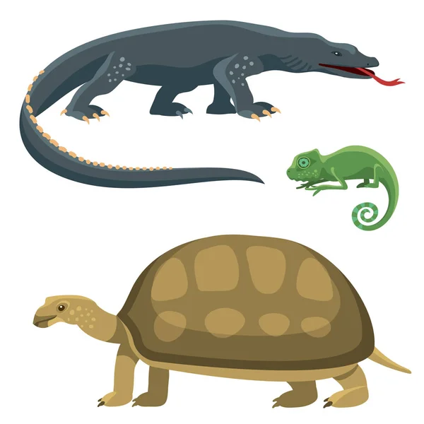 Reptiles y anfibios fauna colorida vector ilustración reptiloides depredadores reptiles animales . — Vector de stock