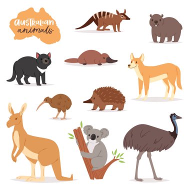 Australian animals vector animalistic character in wildlife Australia kangaroo koala and platypus illustration set of cartoon wild wombat and emu isolated on white background clipart