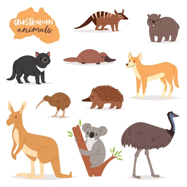 Australian animals vector animalistic character in wildlife Australia kangaroo koala and platypus illustration set of cartoon wild wombat and emu isolated on white background Stock Illustration