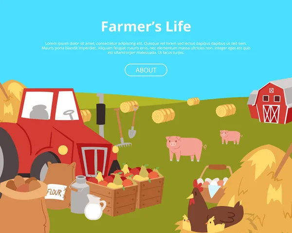 Bandeiras de agricultura orgânica e agronegócio com equipamentos de fazenda de desenhos animados, ilustração de vetores de alimentos e animais. Trator cercado por sacos com batata, caixas com frutas, jarra com leite . — Vetor de Stock