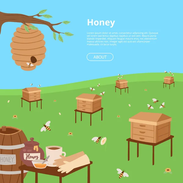 Cartaz de cultivo de mel. Desenhos animados favo de mel, abelha, vagem, flores, panqueca, mel jar vetor ilustração. Brochura, cartaz, folheto para promoção de negócios. Mel orgânico, abelhas . — Vetor de Stock