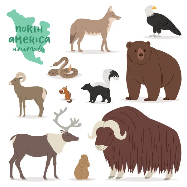 Állati vektor animalista karakter erdei medve szarvas Elk Amerikában vadvilág illusztráció meg az amerikai ragadozó hegyi kecske izolált fehér háttér — Stock Vector