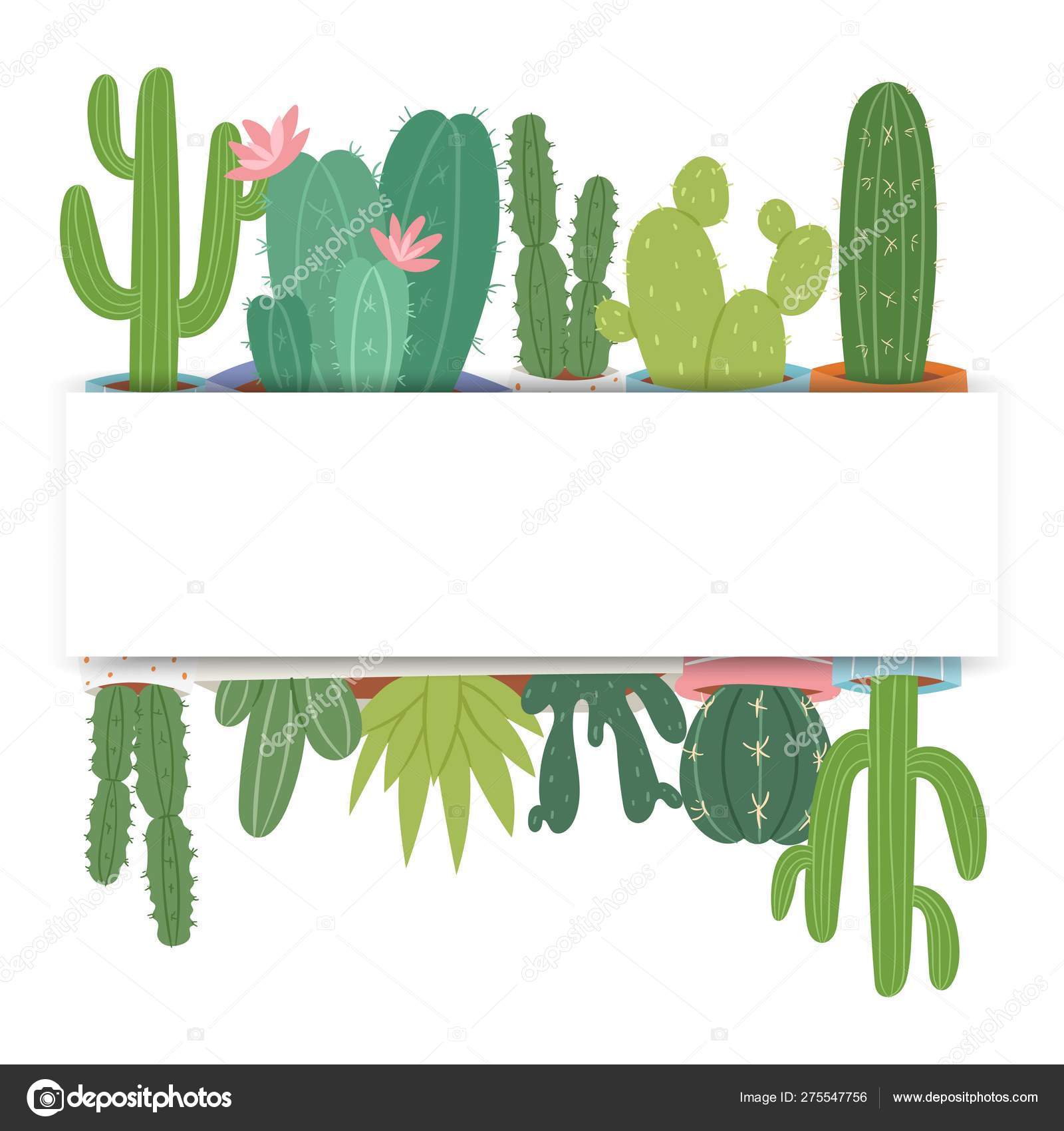 Vetores de Coloque Cactos De Desenhos Animados Fofos E Suculentas Em  Panelas Ilustração Vetorial Isolada No Fundo Branco e mais imagens de Cacto  - iStock