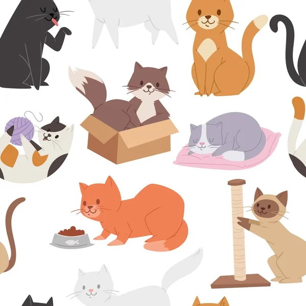 Seamless pattern with cute tabby kittens. Cartoon character childish kitty. Great for fabric, textile vector illustration of cats playing, brown cat in the box, sleeping and washing siamese cat. — Stock Vector