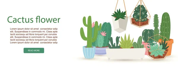 Kaktusy, sukulenty i rośliny z kwiatami w doniczkach na białym tle-ilustracja z aloesu, kaktusów i kaktusów dla ekologicznej ilustracji wektor koncepcyjny używany do plakatu, karty, stron internetowych. — Wektor stockowy