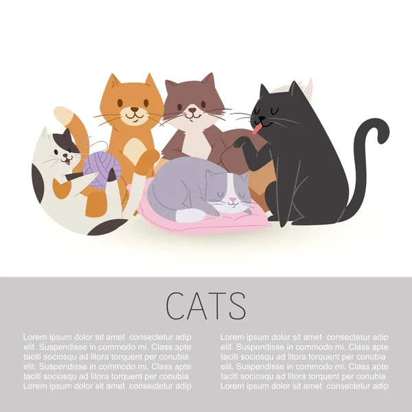 Kreslené postavy roztomilé kočky, vektorové ilustrace, izolované na whitei s prostorem pro text. Domácí mazlíčci. Kočička, kočka, kočička a koťata si hrají s vlnou, spánkem a praním. — Stockový vektor