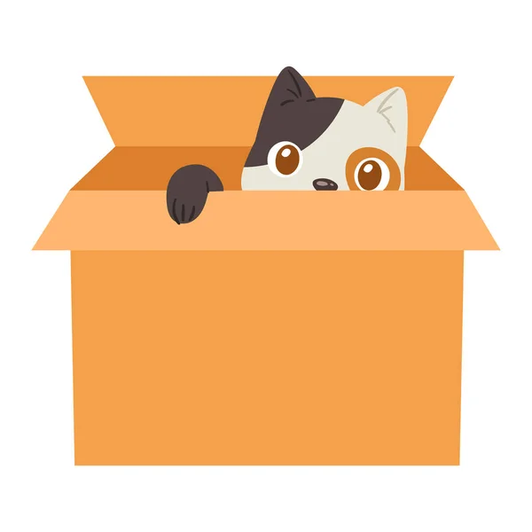 Gato en caja vector gatito mascota carácter animal doméstico gatito en caja regalo ilustración felino conjunto de pussycat escondido en paquete aislado sobre fondo blanco — Archivo Imágenes Vectoriales