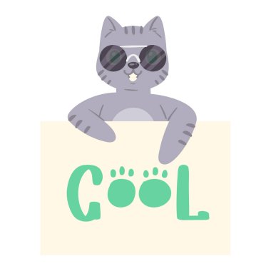 Kedi güneş gözlüğü afiş vektör kedi yavrusu karakter karton kedicik arkasında kamera mesajı poster illüstrasyon poster illüstrasyon arka planda izole pussycat hayvan hayvan reklam seti tutan arkasında gözetleme