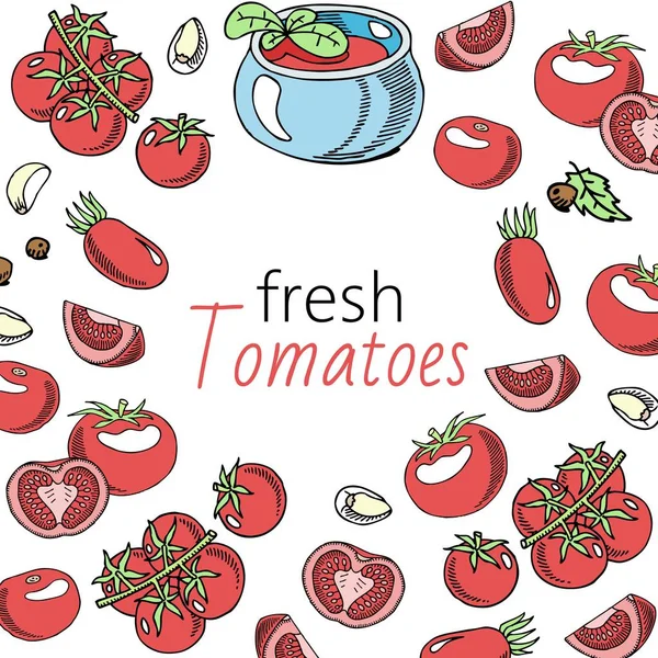 ニンニクの背景バナーベクトルイラストとトマトフレッシュソース。健康的な食べ物。オーガニックドリンクのグラス。天然物。メニュー、バー広告の要素。トマト. — ストックベクタ