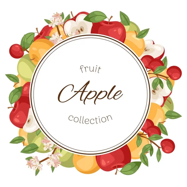 사과 과일 컬렉션 포스터, 배너 벡터 일러스트. 밝은 화려한 과수원 또는 정원 제품입니다. 건강한 신선하고 유기농 식품. 다른 색깔과 모양의 사과. — 스톡 벡터