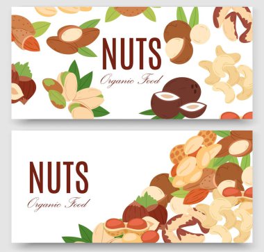 Fındık toplama düz karikatür afiş vektör illüstrasyon seti. Yer fıstığı, antep fıstığı, kaju, hindistan cevizi, fındık ve macadamia. Sağlıklı organik yiyecekler, iyi atıştırmalıklar. Beslenme ve tarım.