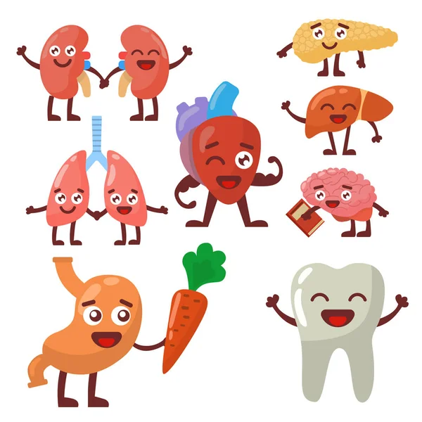 Человеческие органы здоровые и нездоровые анатомические смешные пары персонажей мультфильмов  . — стоковое фото