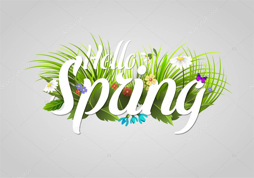 Spring text lettering background with flower floral green text letter ornament beautiful calligraphy flower hello Spring is coming poster illustration.