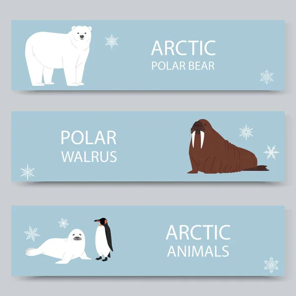 Sarkvidéki állatok és az északi pólus rajzfilm bannerek meg, vektor illusztráció. Antarktisz és északi-sark sarkvidéki állatok, fehér medve, pingvin, Morse és furseal. — Stock Vector