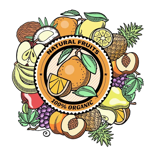 Banner grabado de frutas frescas, ilustración del vector del logotipo. Composición circular afrutada. Sandía y pera, melón, coco con pomelo, plátano y piña logotipo fructífero . — Vector de stock