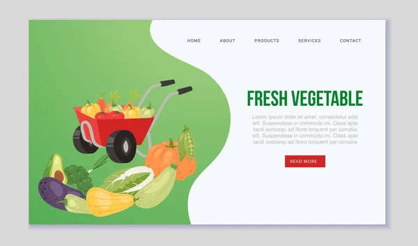 Farm eco vegetais e orgânica modelo web vetor de alimentos. Ilustração com carrinho de mão cheio de vegetação, abóbora, rabanete e nabo, berinjela, abóbora para o site da loja vegetariana . — Vetor de Stock