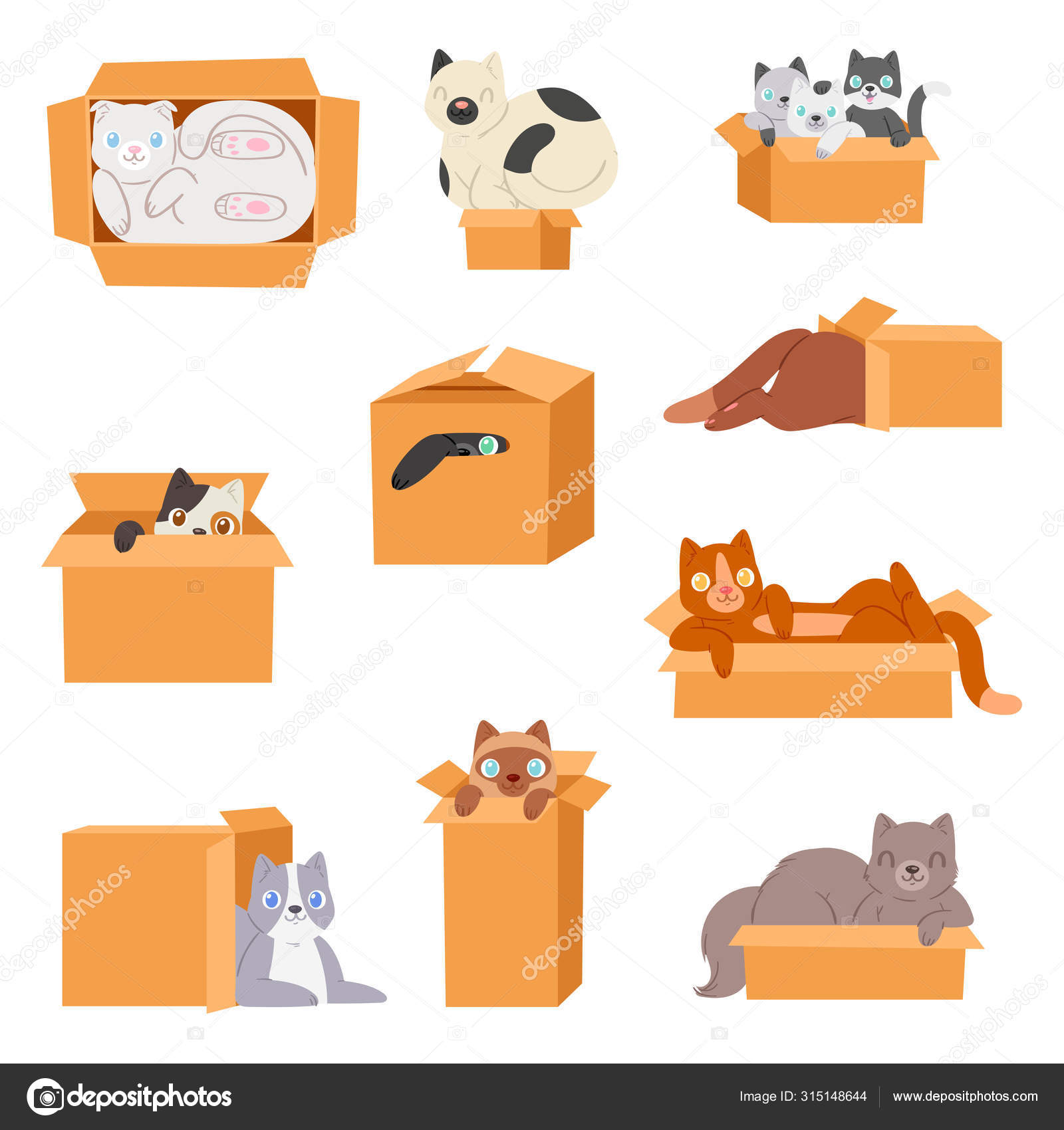 Chat En Boite Chaton Vecteur Chaton Animal Domestique Personnage Animal Domestique Chaton En Boite Illustration Cadeau Ensemble Felin De Cachette De Chat En Paquet Isole Sur Fond Blanc Image Vectorielle Vectorshow C