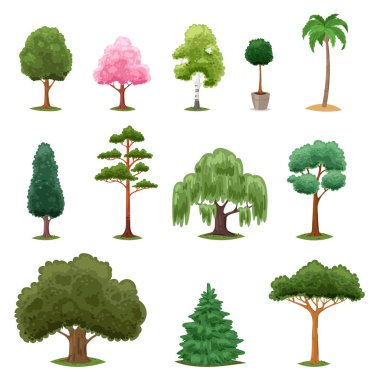 Tree types vector green forest pine treetops collection of fir palm birch cedar greenery garden with acacia sakura illustration isolated on white background clipart