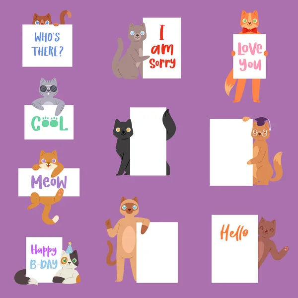 Cat banner vector kitten character peeking behind cardboard kitty holding copy space message poster illustration set of pussycat pet animal advertising isolated on background — Stock Vector