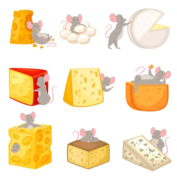 Caricature souris vecteur enfants mousy personnage animal rongeur et rat avec fromage manger fromage nourriture illustration mousey ensemble de petites souris mouselook illustration mis isolé sur fond blanc — Image vectorielle