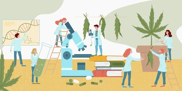 Piccoli farmaci di laboratorio di carattere pianta ricerca cannabis, maschio femminile analisi collega vettore piatto illustrazione. Assistente di laboratorio microscopio look . — Vettoriale Stock