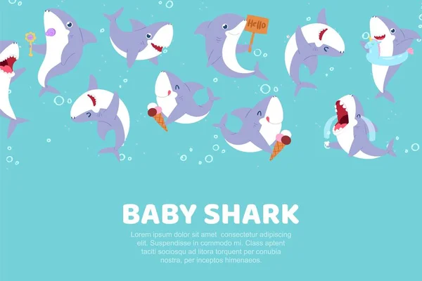 Felirat baby cápa, aranyos banner, természet óceán, tenger víz poszter ragadozó hal, design rajzfilm stílusú vektor illusztráció. — Stock Vector