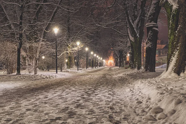 Schnee Weg Bürgersteig Straße Schneefall Laternen Straßenlaternen ruhige Szene friedliche Stadt — Stockfoto