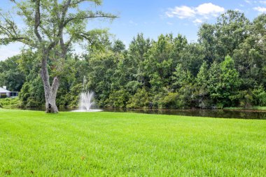 Büyük yeşil bahar çimenli arka bahçesinde sarı çocuklar ağaç evi, ve okyanus manzaralı oyun yere.