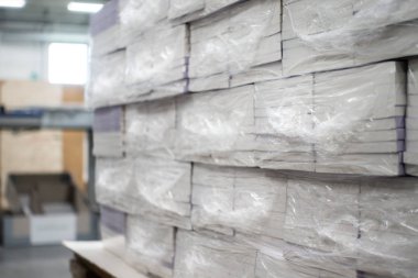 Heat Shrink Wrapped Books Awaiting Delivery. Industrial Production Automated Packaging Machinery