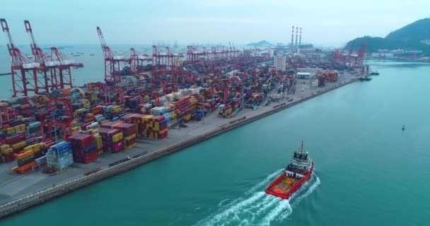 Cargo Terminal i Shenzhen Kina — Stockvideo