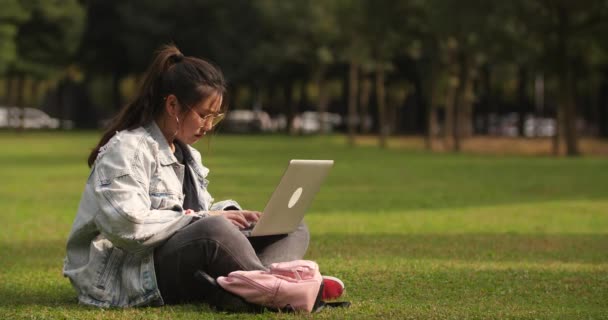 Asiática chica universitaria ocupado usando ordenador portátil en el césped en el campus — Vídeo de stock