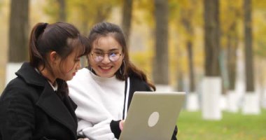 Asyalı üniversite öğrencileri birlikte dizüstü bilgisayar kullanarak