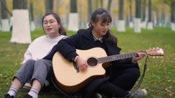 Young friend playing music together outdoor — Stock Video