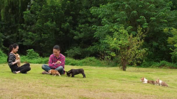Glückliche junge Leute mit Hundewelpen im Freien, Zeitlupe — Stockvideo