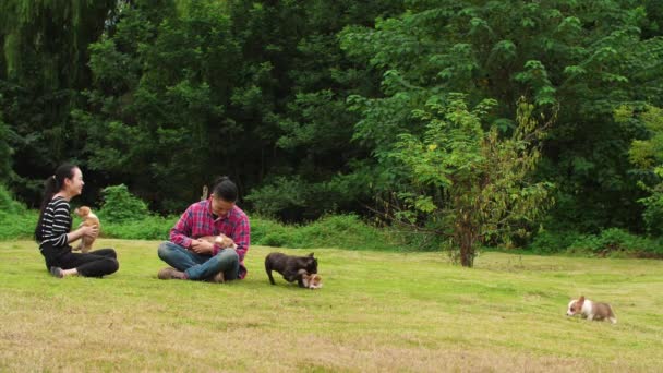 Счастливые молодые люди с собакой на улице, замедленная съемка — стоковое видео