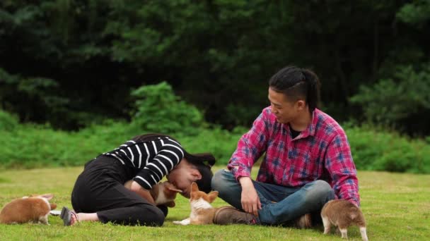 Pareja joven junto con sus perros al aire libre, 4k — Vídeo de stock