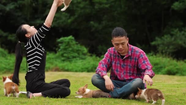 Jeune couple avec leurs chiens en plein air, 4k — Video