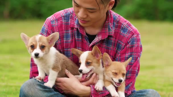 Felice giovane uomo con il suo cane cucciolo all'aperto, 4k — Video Stock