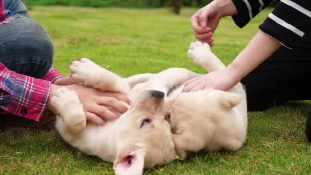 Los jóvenes con su perro al aire libre, 4k — Vídeo de stock