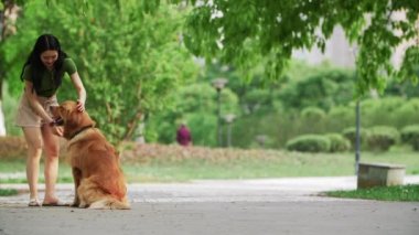 Asyalı kadın Golden Retriever 'ı usulca okşuyor..