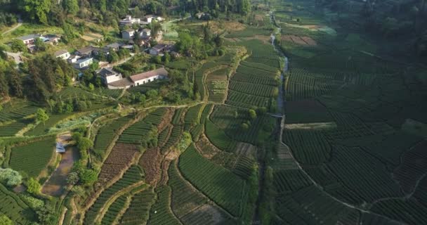 Vista aérea de la aldea de la granja de té en Pu Jiang Sichuan China — Vídeos de Stock