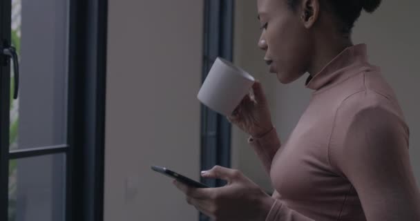Empresária africana olhando para o telefone pela janela — Vídeo de Stock
