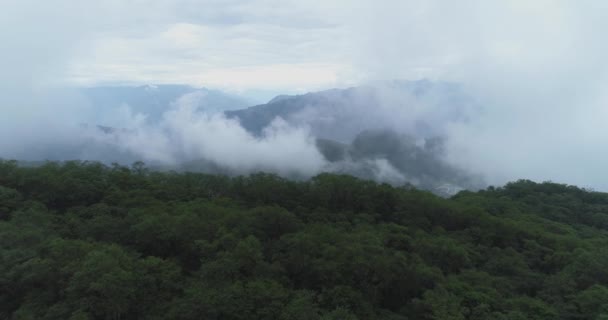 夏の山の空中風景 — ストック動画