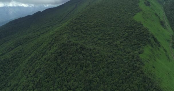 Zomer berg uitzicht vanuit de lucht — Stockvideo