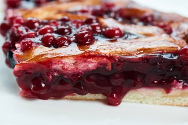 Onları beyaz tabak portre üzerinde cranberries ile doldurma pastadan pay