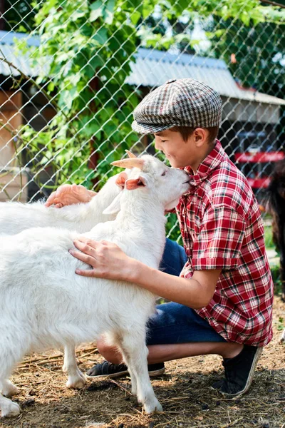Chico Gorra Está Acariciando Una Cabra Bebé Granja —  Fotos de Stock