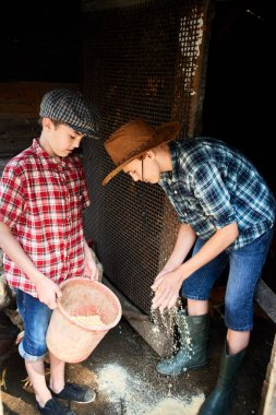 İki kardeş bir tavuk kümesi katında gıda dağılım