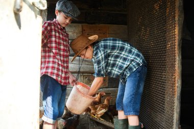 İki kardeş bir tavuk kümesi katında gıda dağılım